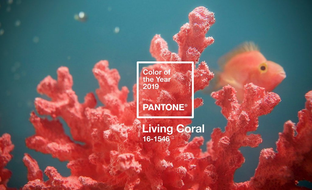 Living Coral - Pantone Colour of the Year 2019 - DesignStreet Blog