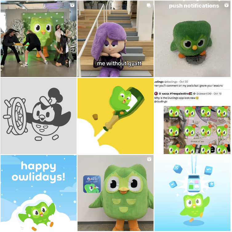 Social Media marketing duolingo